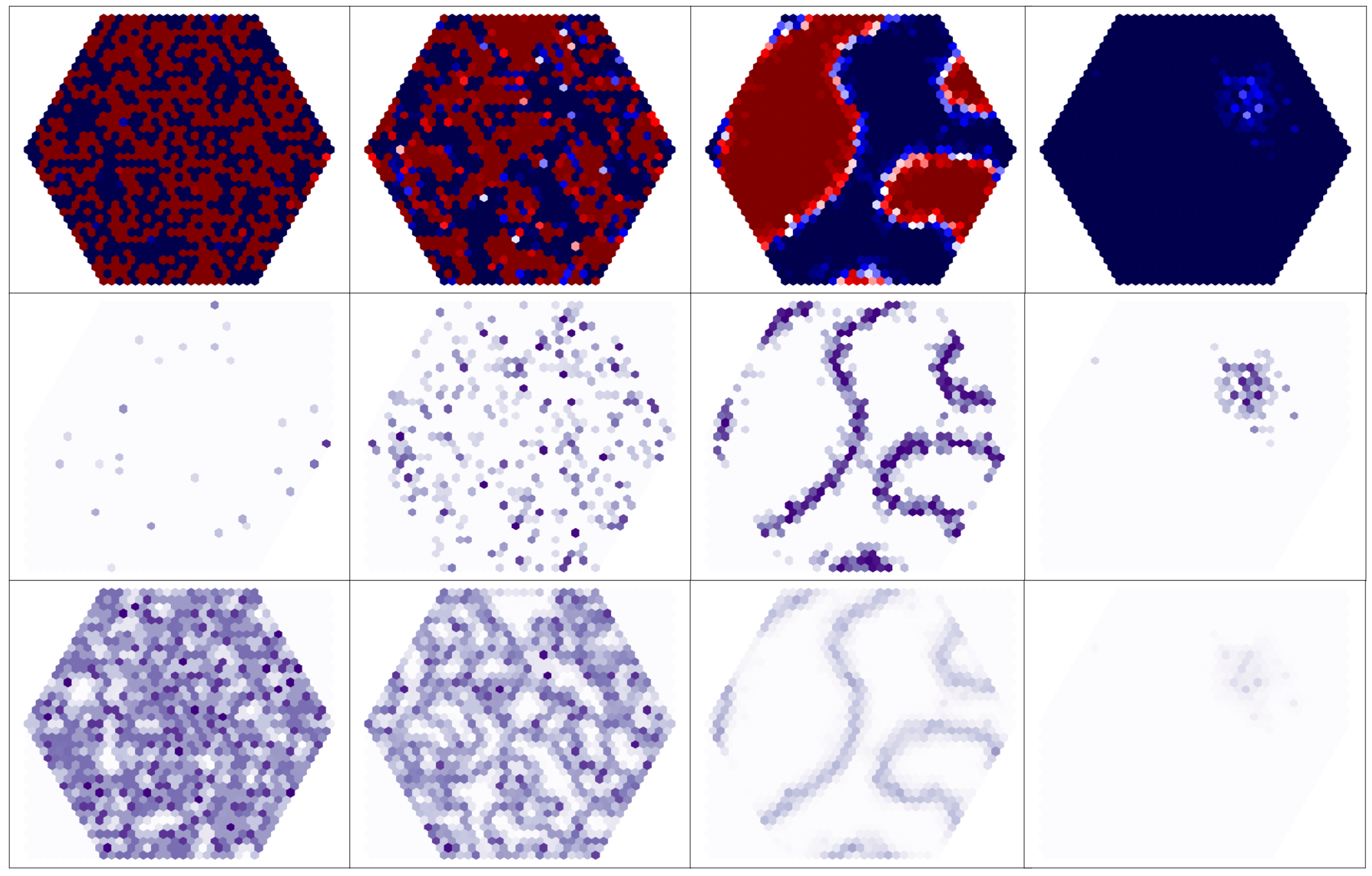 Autocatalytic chemical ecosystem spatial simulations.