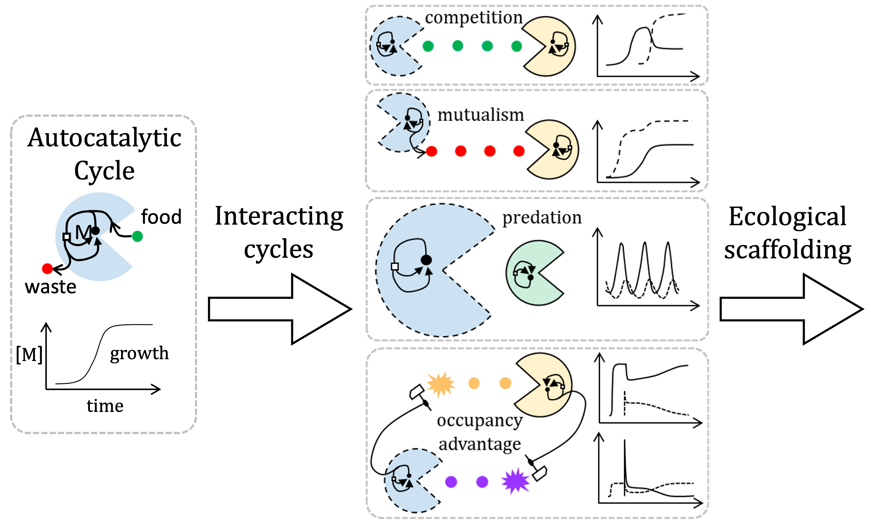 Ecological scaffolding schematic for autocatalytic chemical ecosystems.